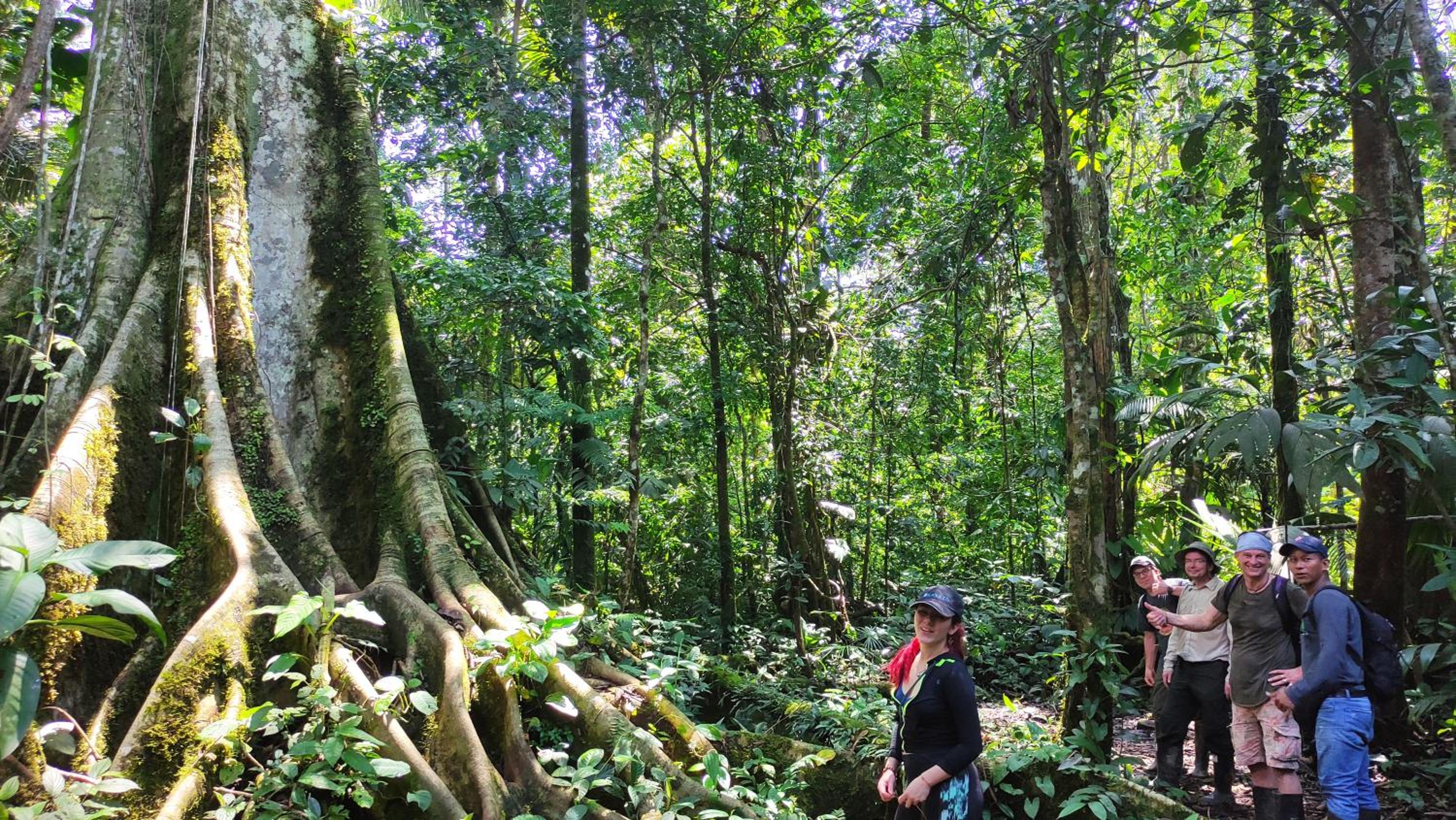 Gaia Amazon Eco Lodge