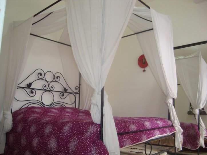 JARDIN Apartments