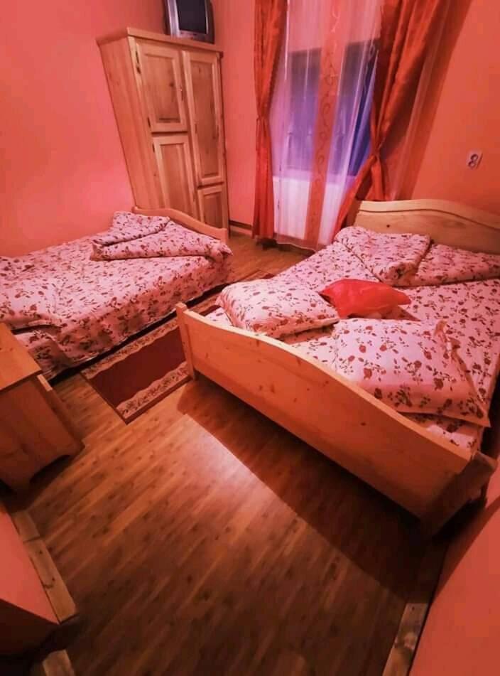 Pensiunea Trei brazi Scărișoara