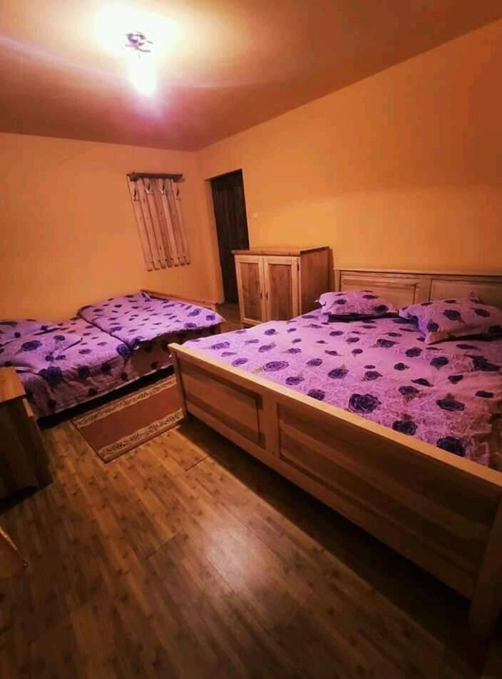 Pensiunea Trei brazi Scărișoara