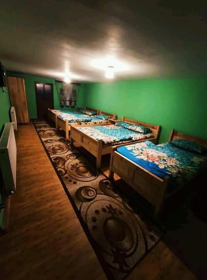 Pensiunea Trei brazi Scărișoara