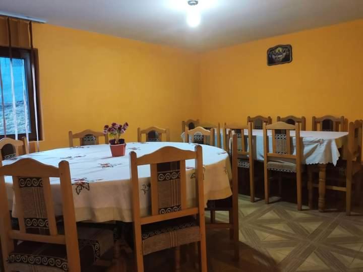 Pensiunea Trei brazi Scărișoara