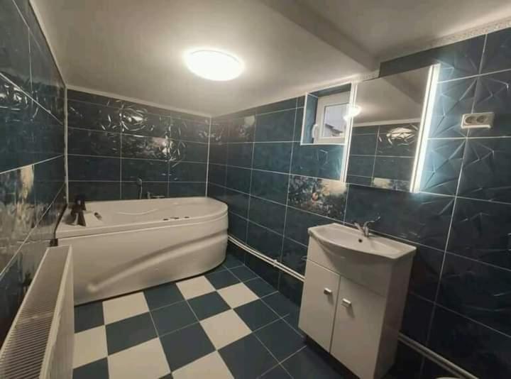 Pensiunea Trei brazi Scărișoara