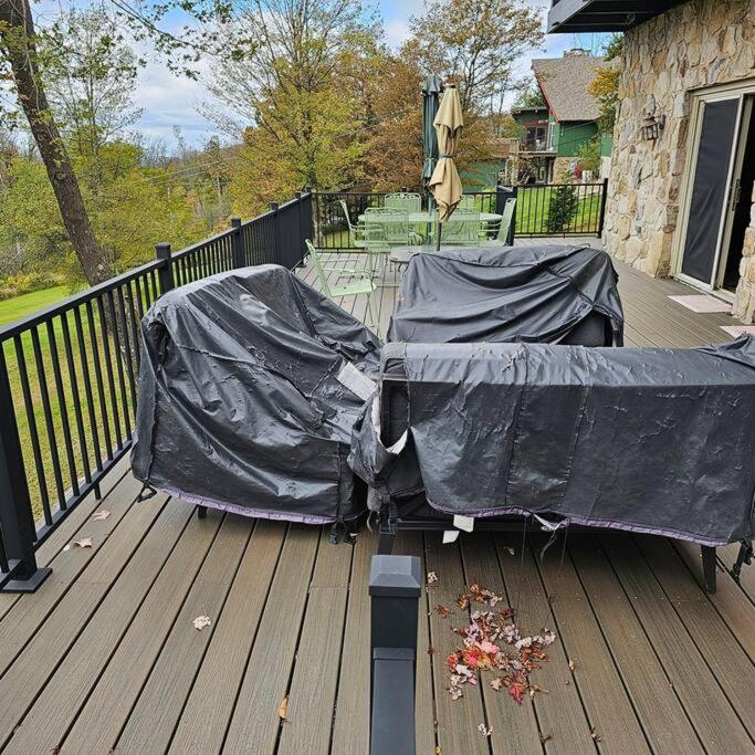 Alpine Retreat @ Seven Springs! view 4