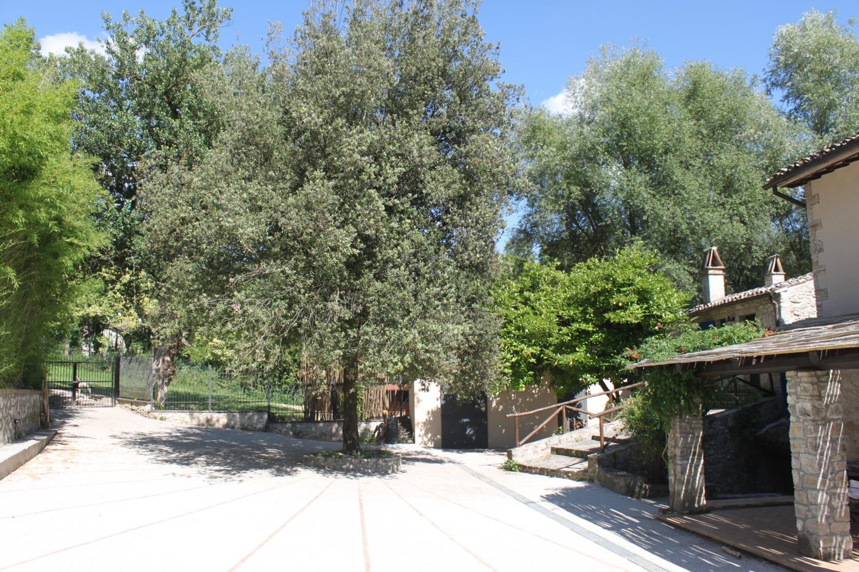 Photo 44