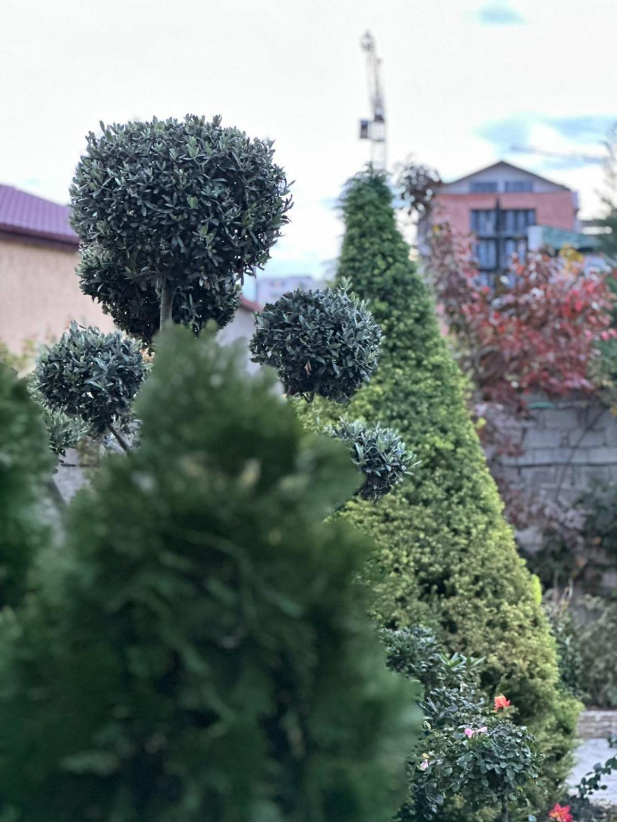 LARDA TBILISI
