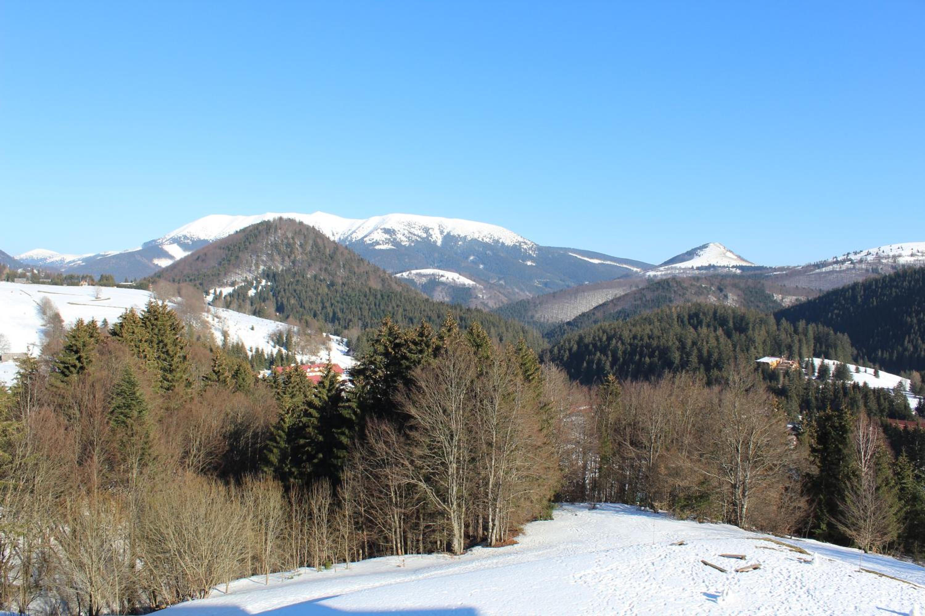 Apartman MARLEA view 2