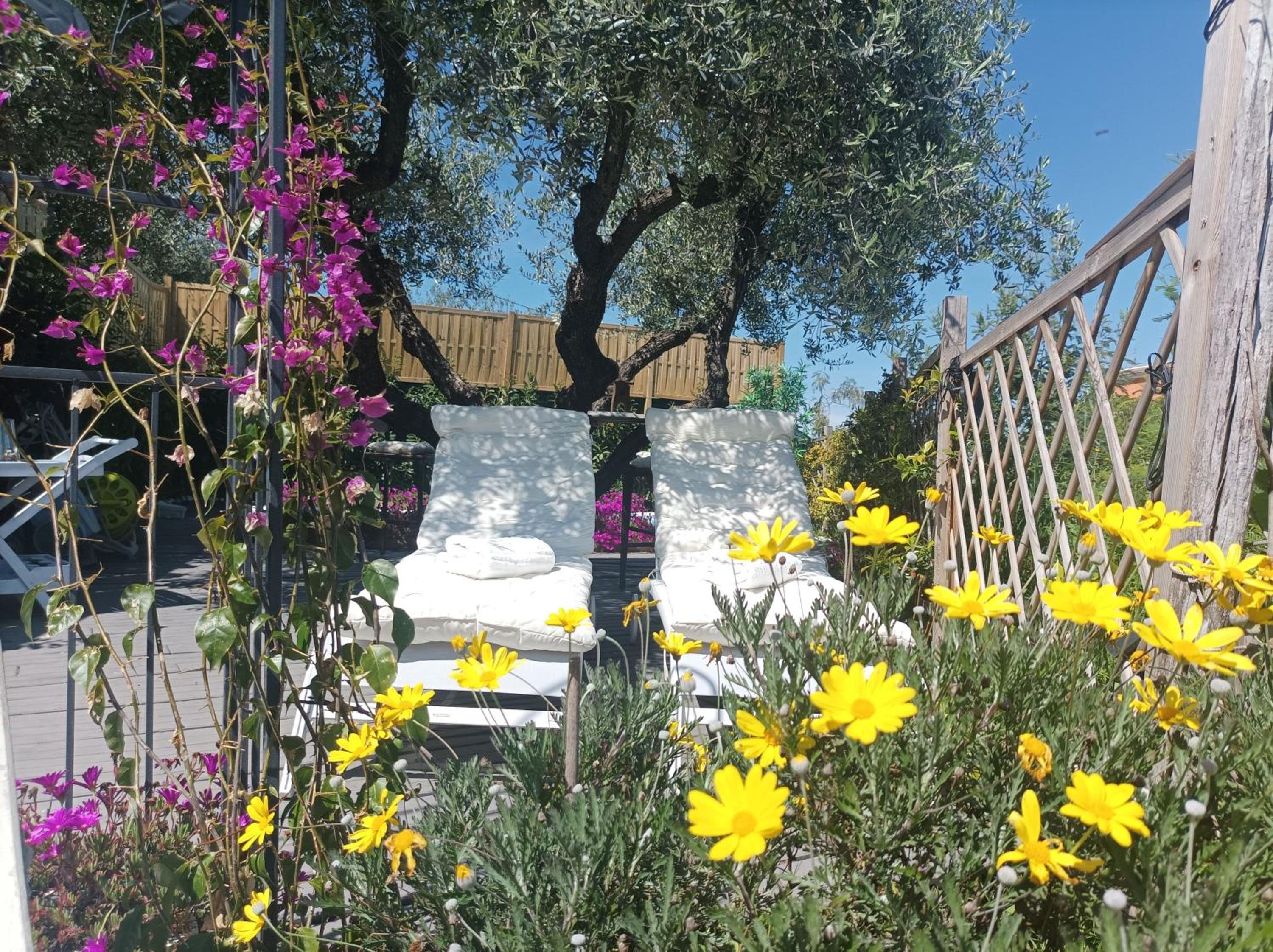 HomArt roof roman king