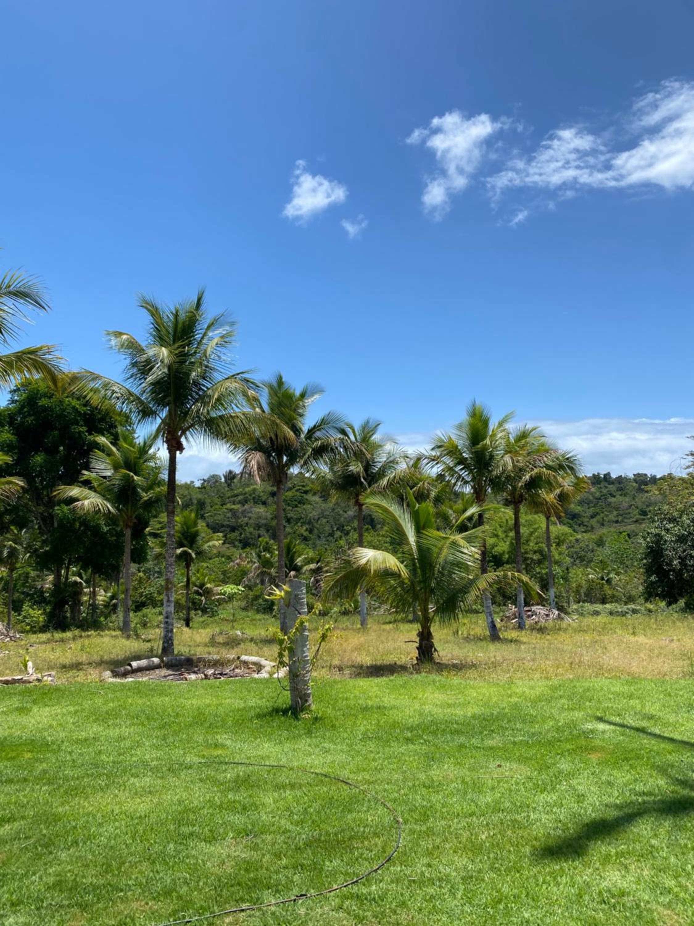 Sítio Casa Vida Nova