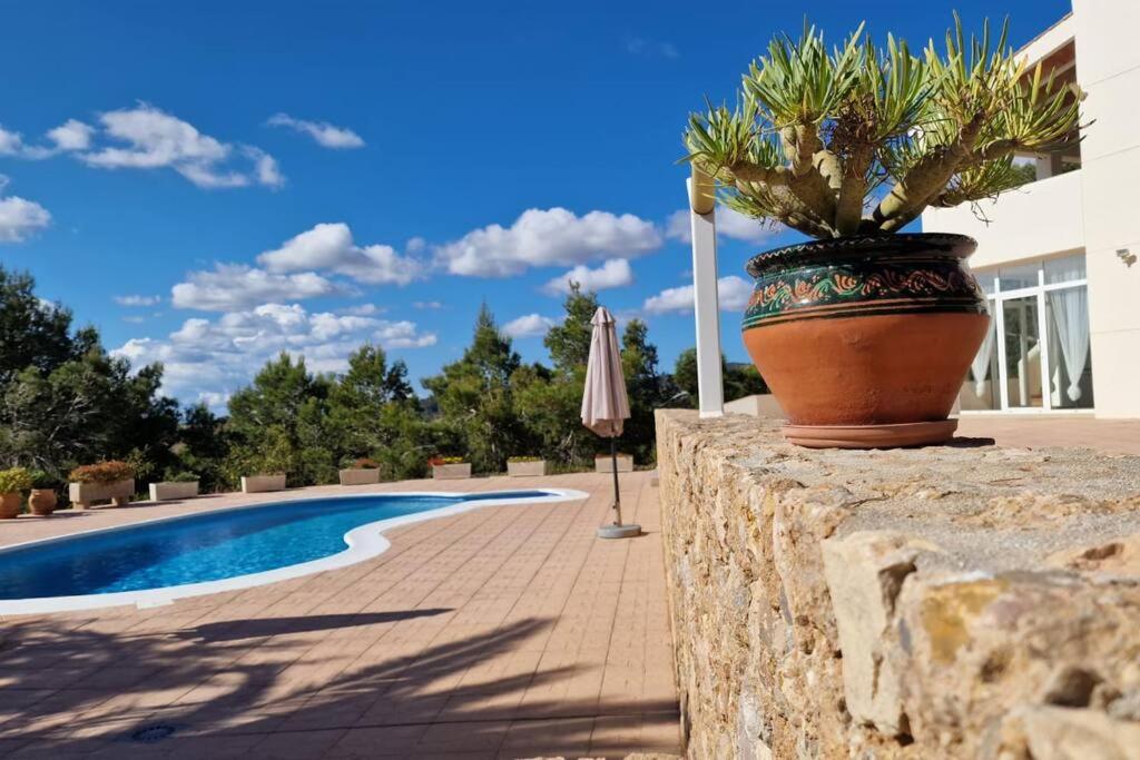 beautiful views with pool in ibiza