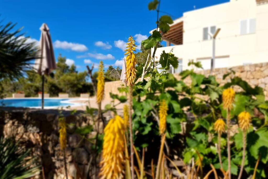 beautiful views with pool in ibiza