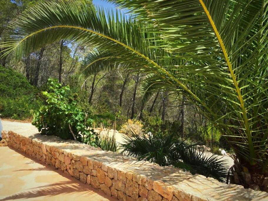 beautiful views with pool in ibiza