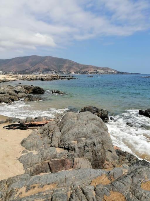 Dpto 2D1B en Papudo Laguna, Piso 8, Edf Flemenco con vista al mar