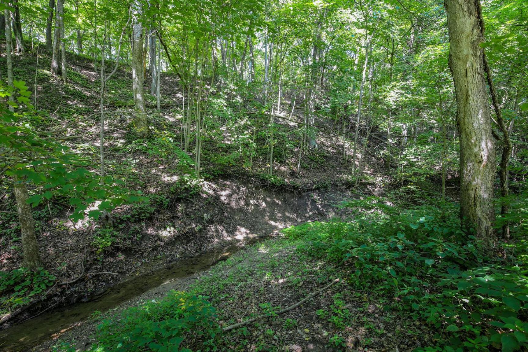 Kickapoo Creekside Escape view 2