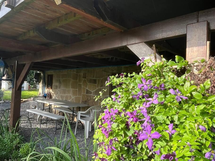 Studio renové rdc terrasse wépion (Namur)
