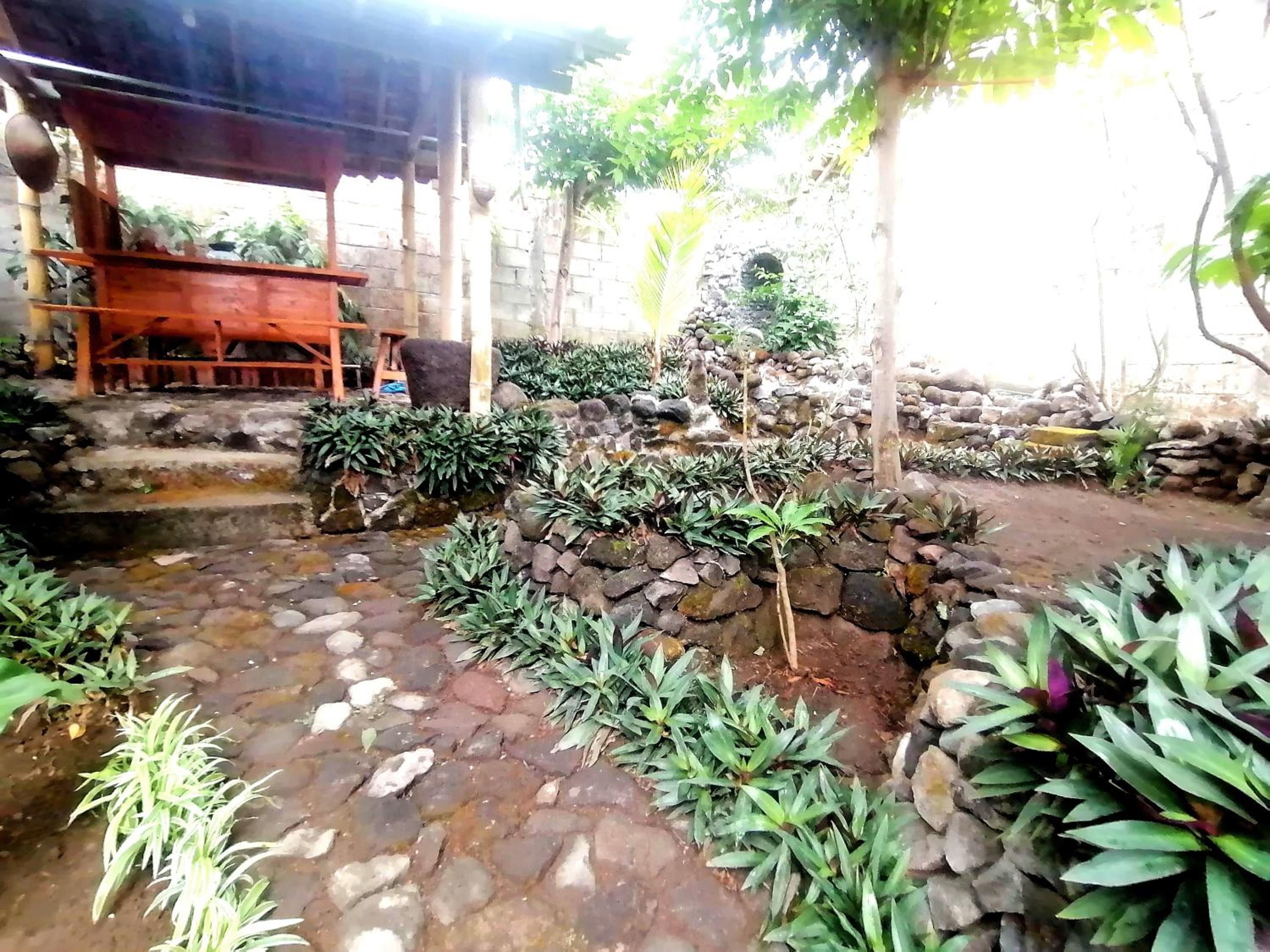 Photo 14