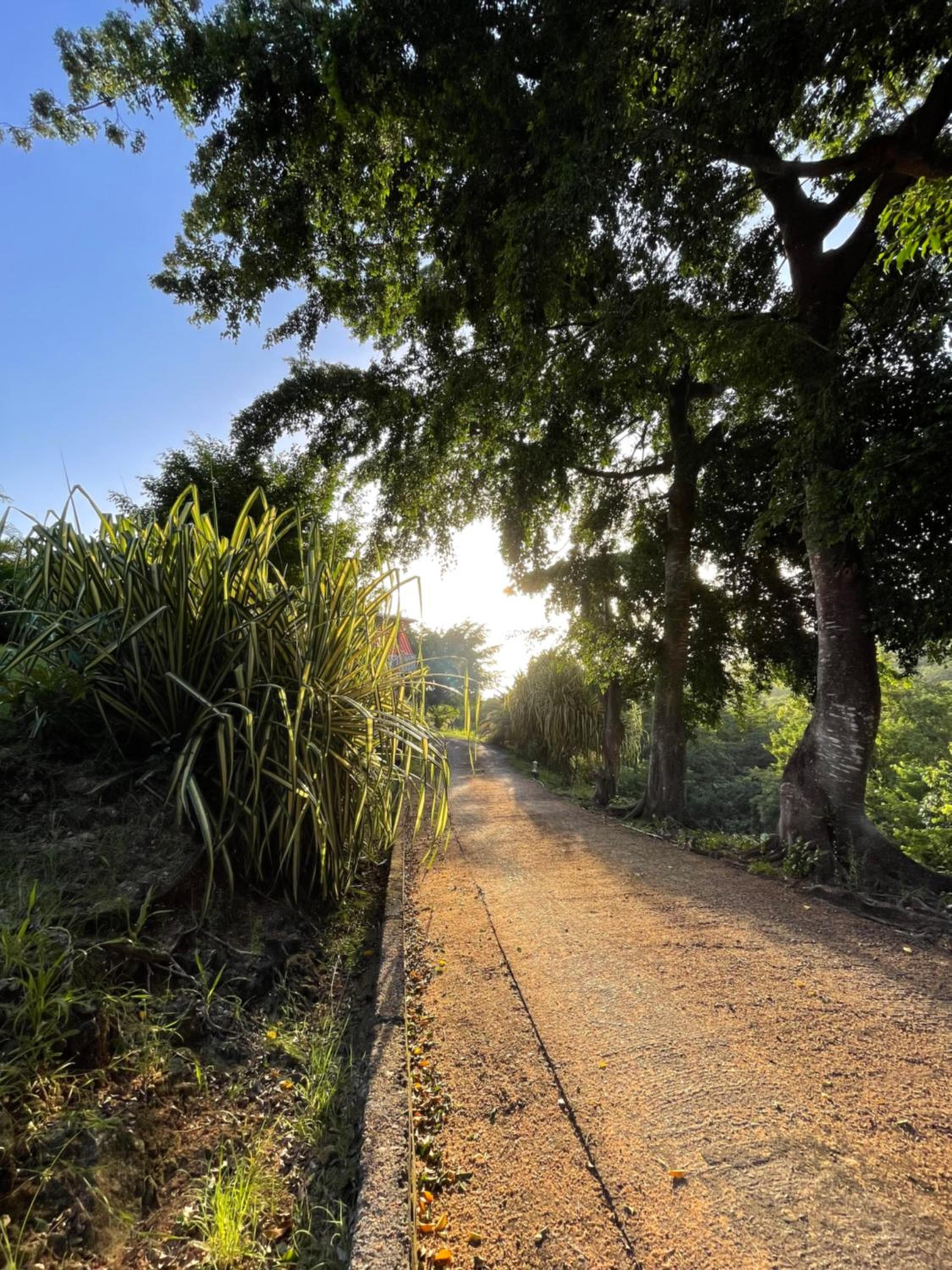Les Hauts de Grand Case
