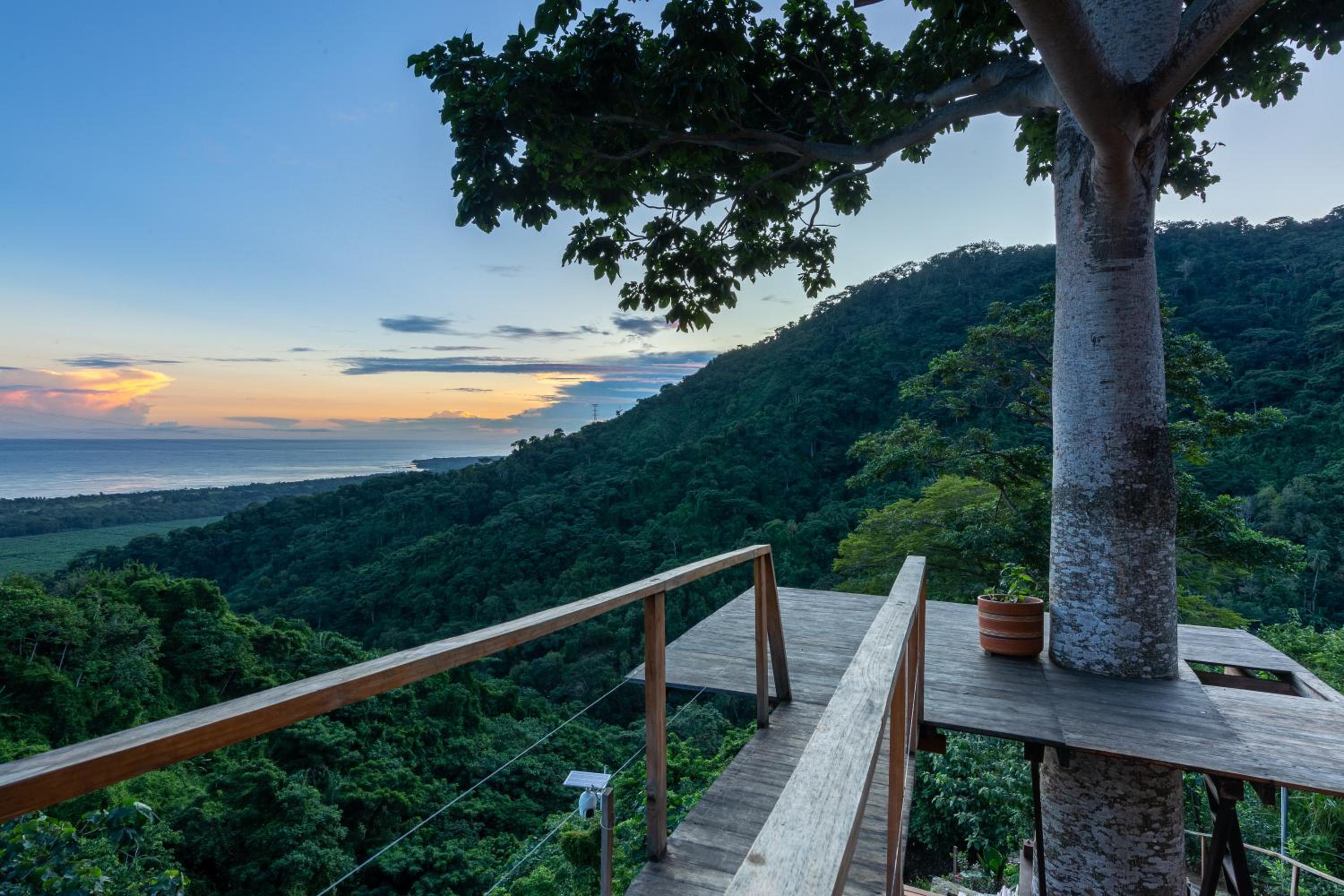 Paraiso Ahimsa