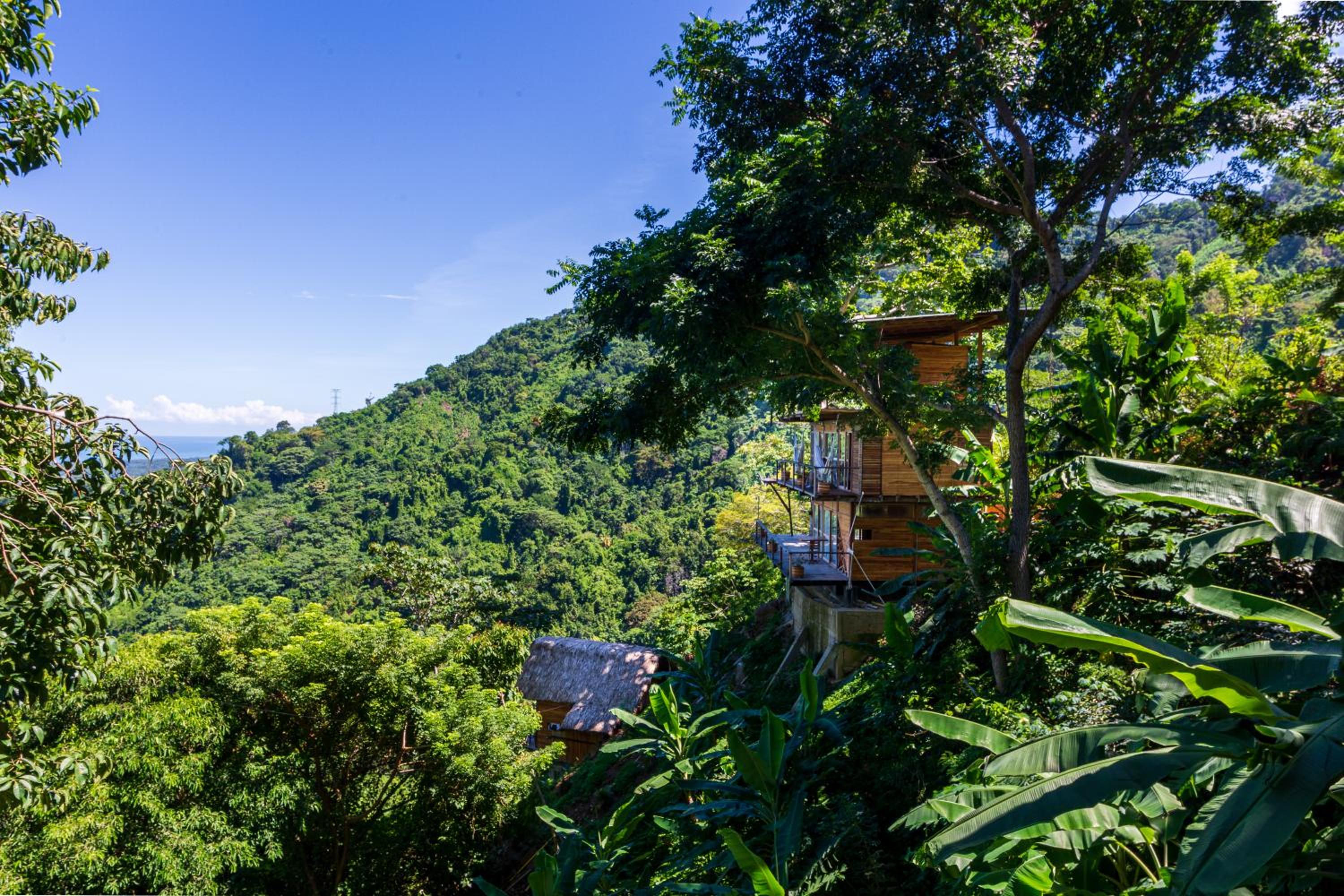 Paraiso Ahimsa