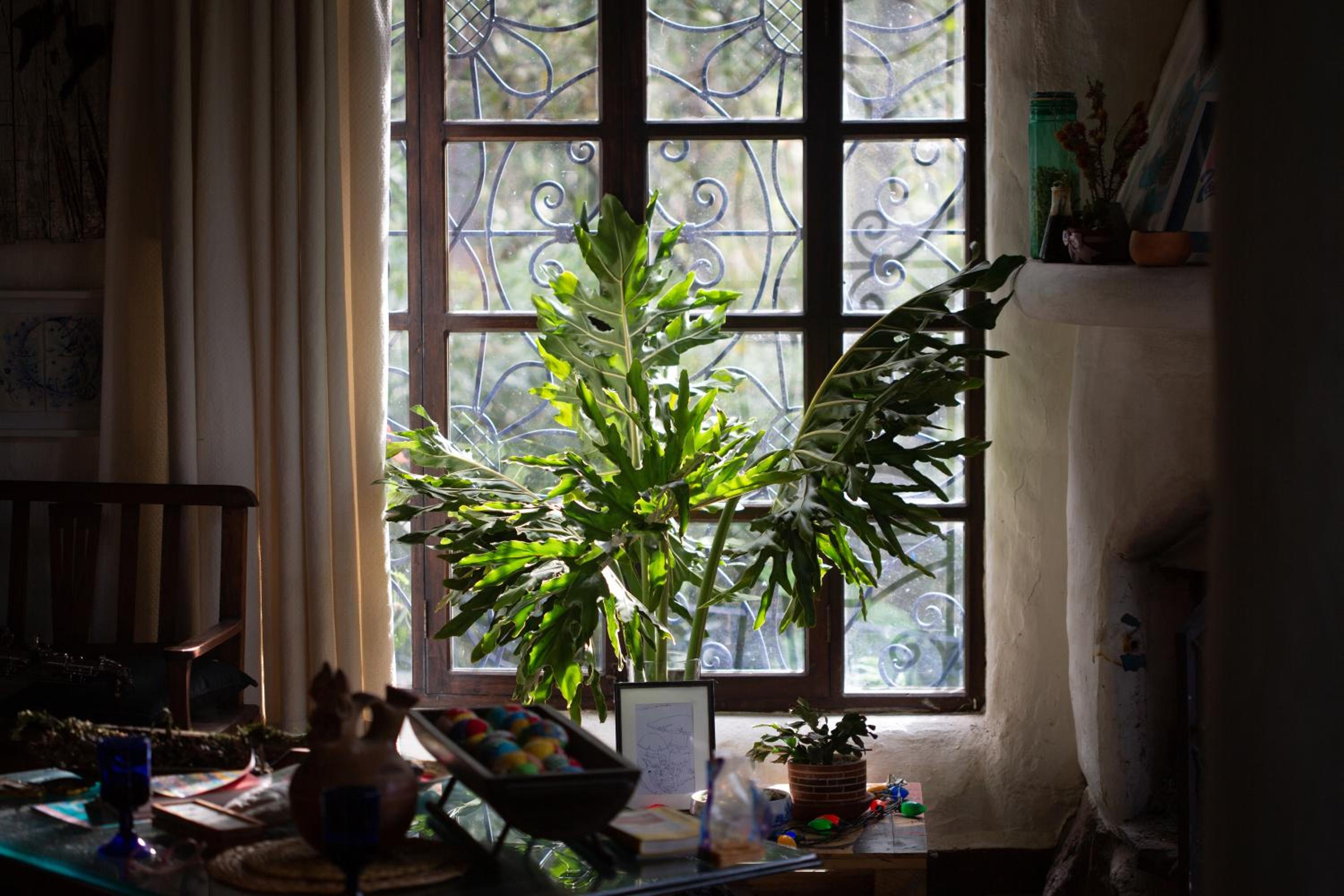 Espacio Pueblo. Galería rural