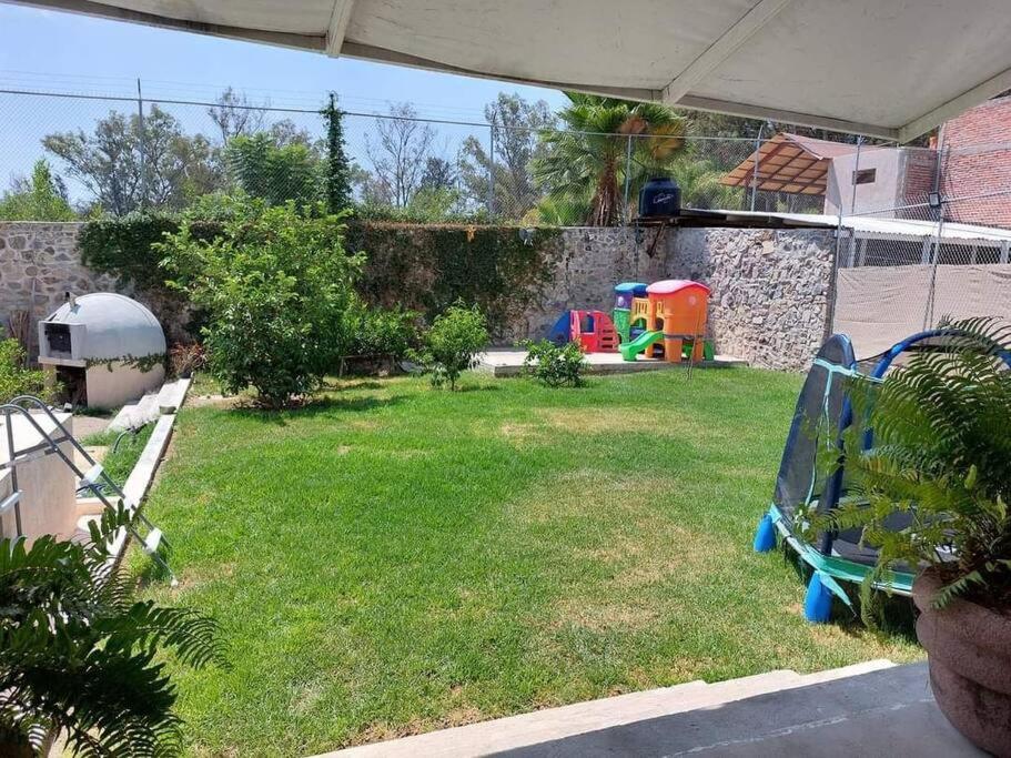 Photo 8