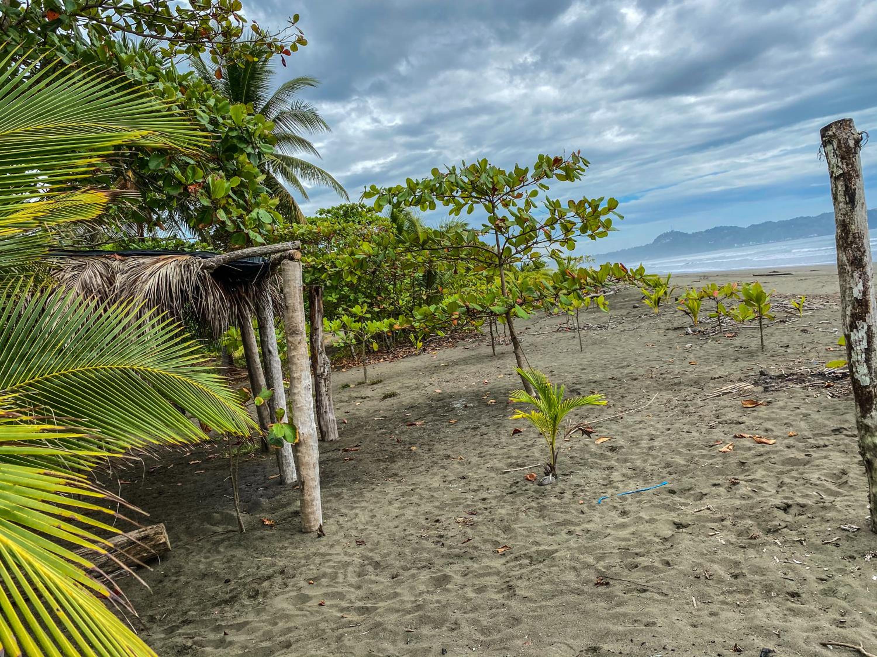 Casa Tili TicoExperience on IslaDamas