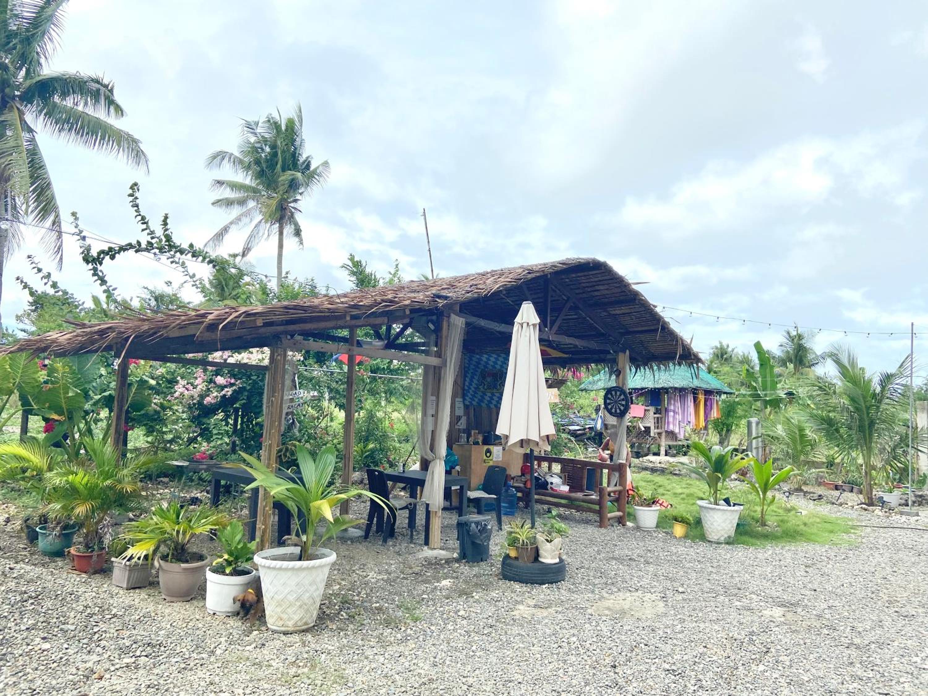 Coconut Inn Moalboal