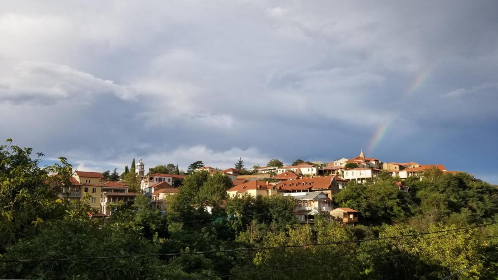 Photo 41