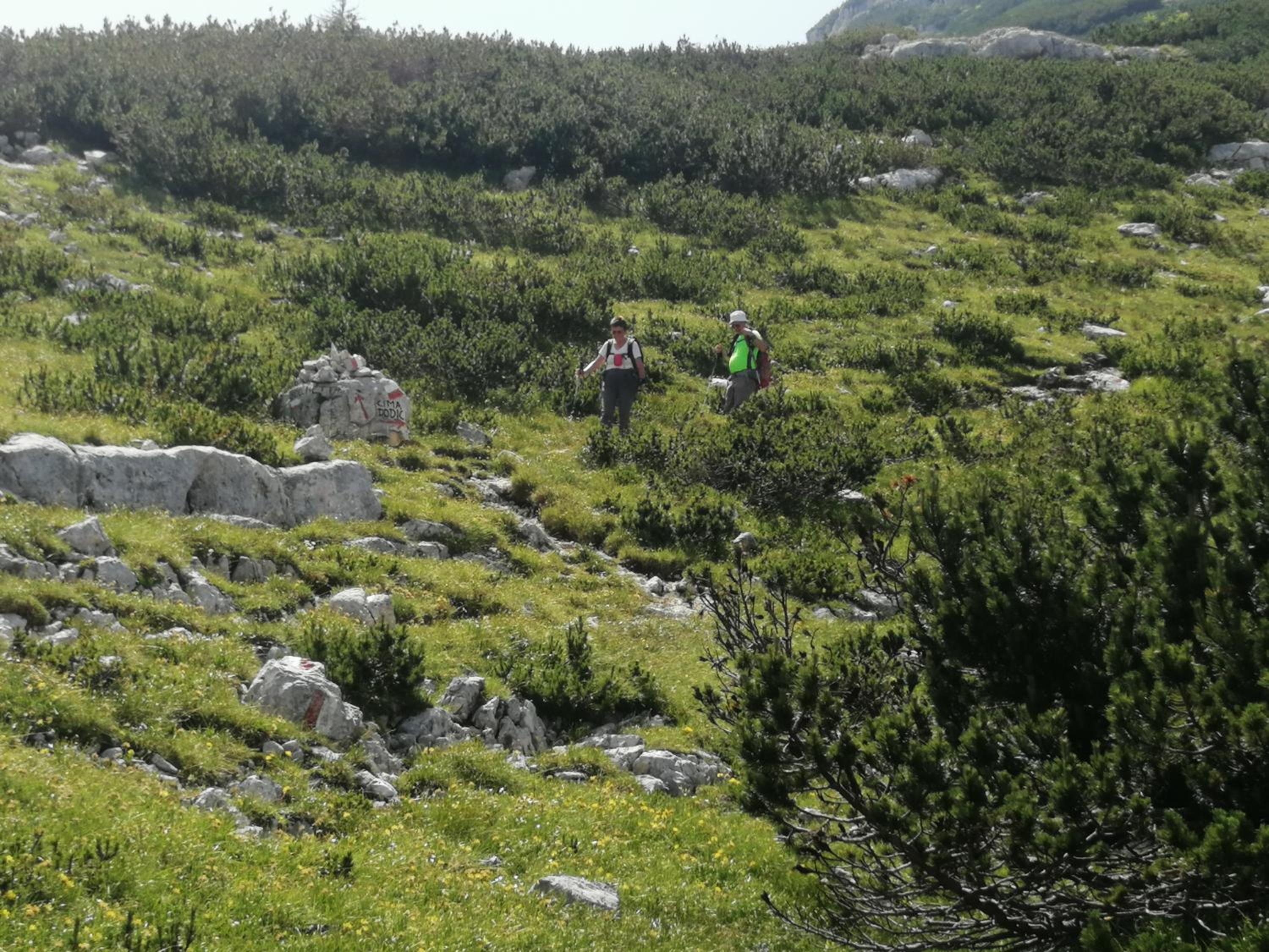 Photo 40