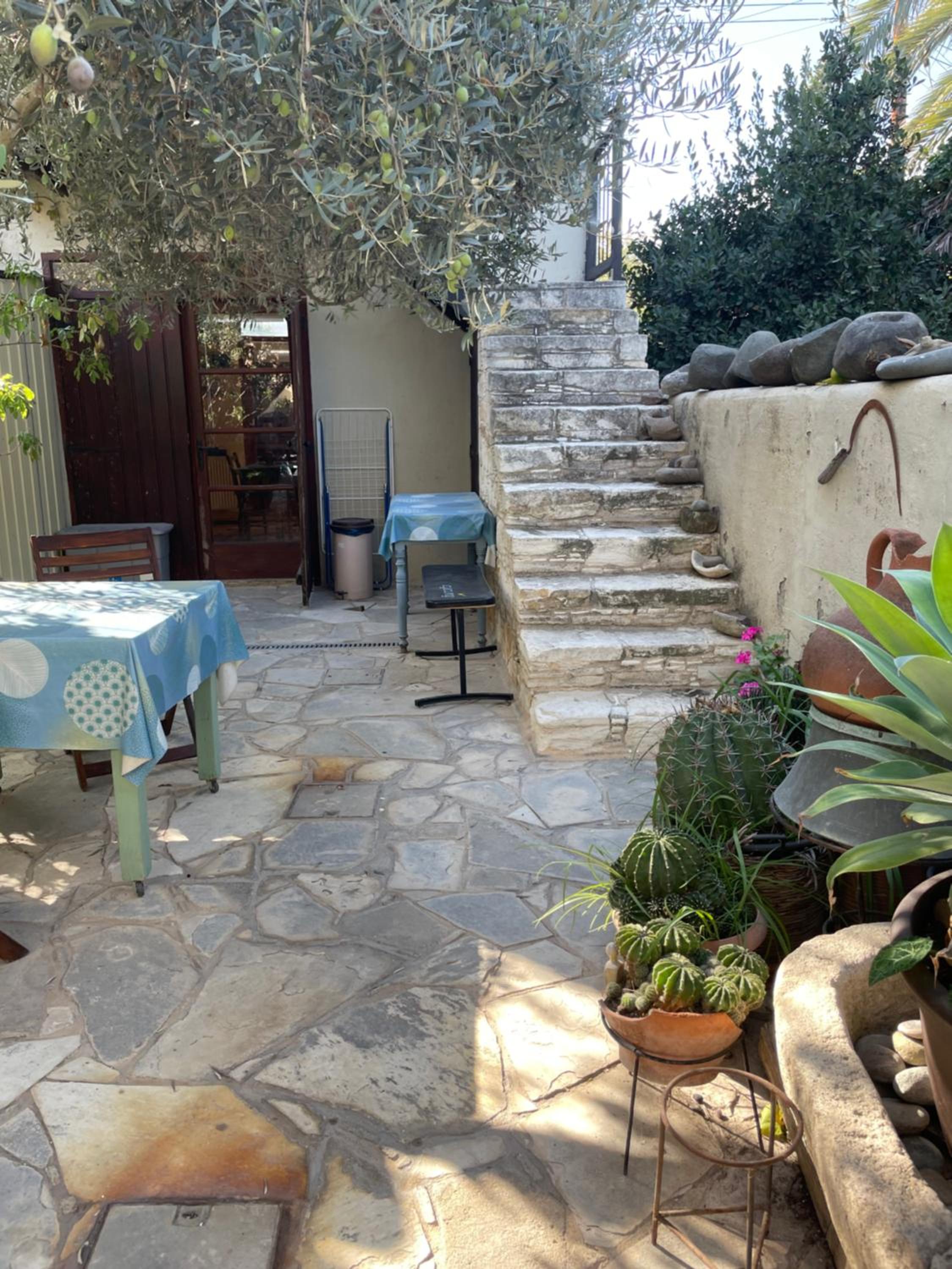 Avli-the courtyard