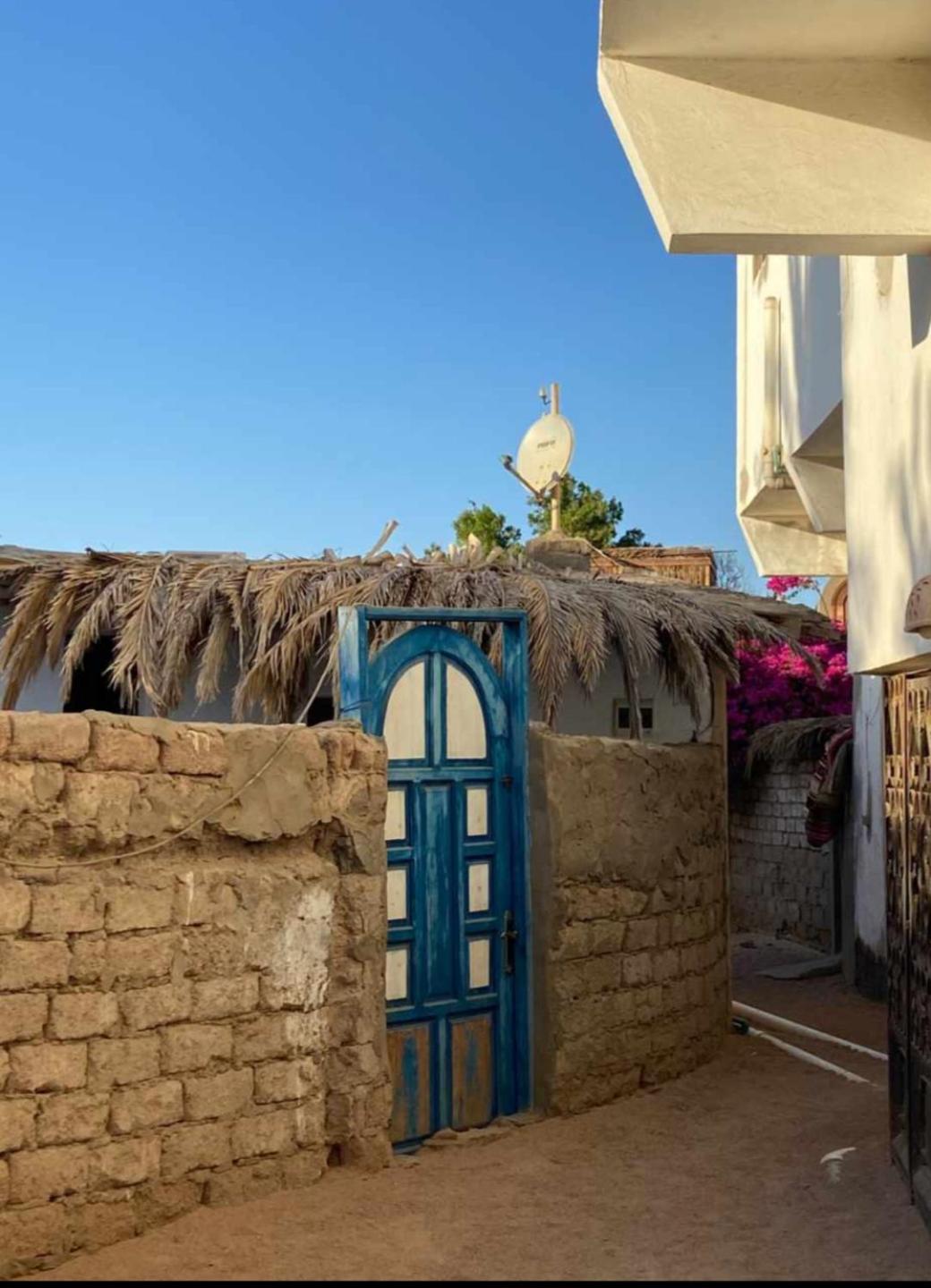 House with backyard in dahab