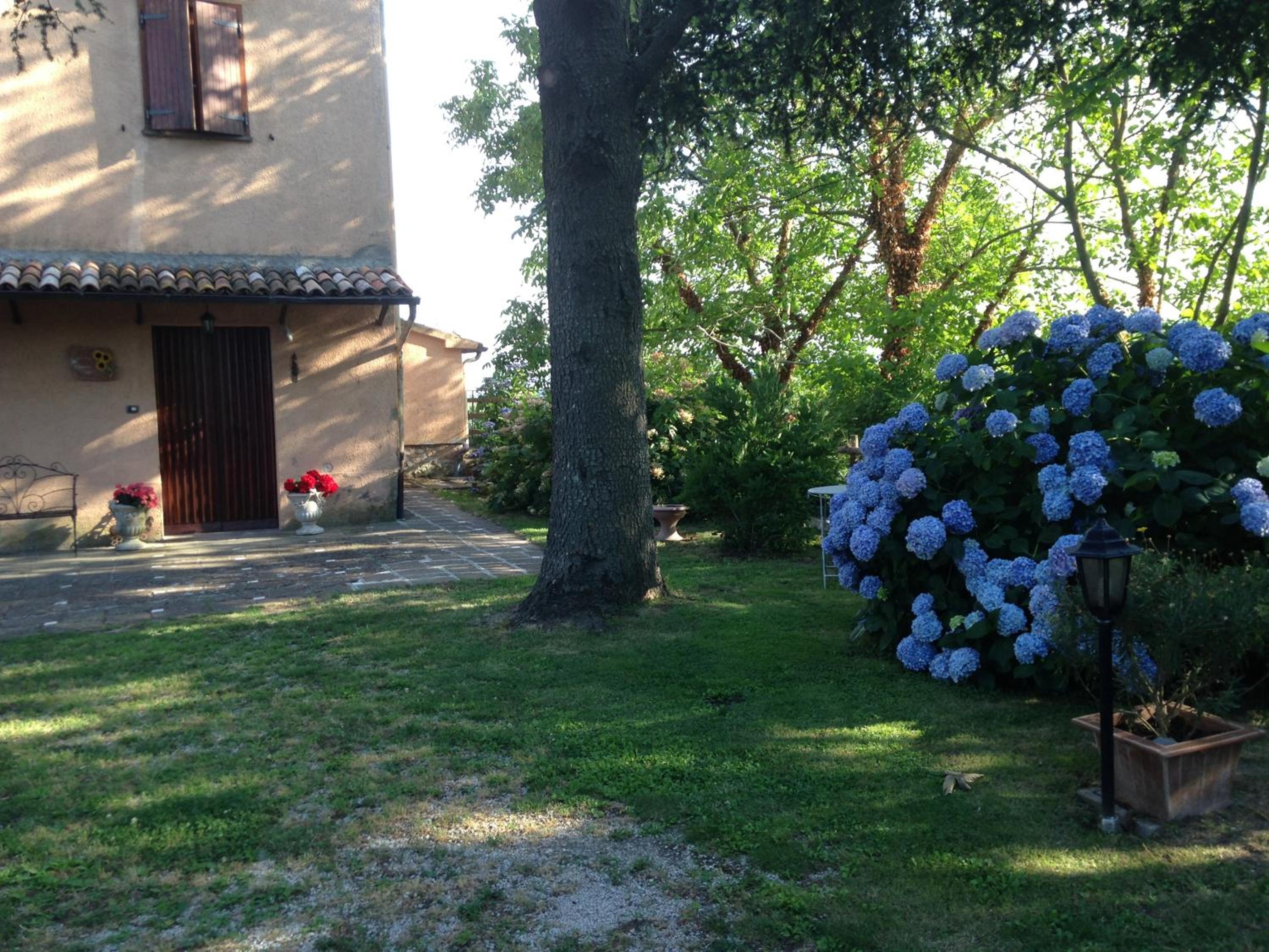 Agriturismo Renaccio