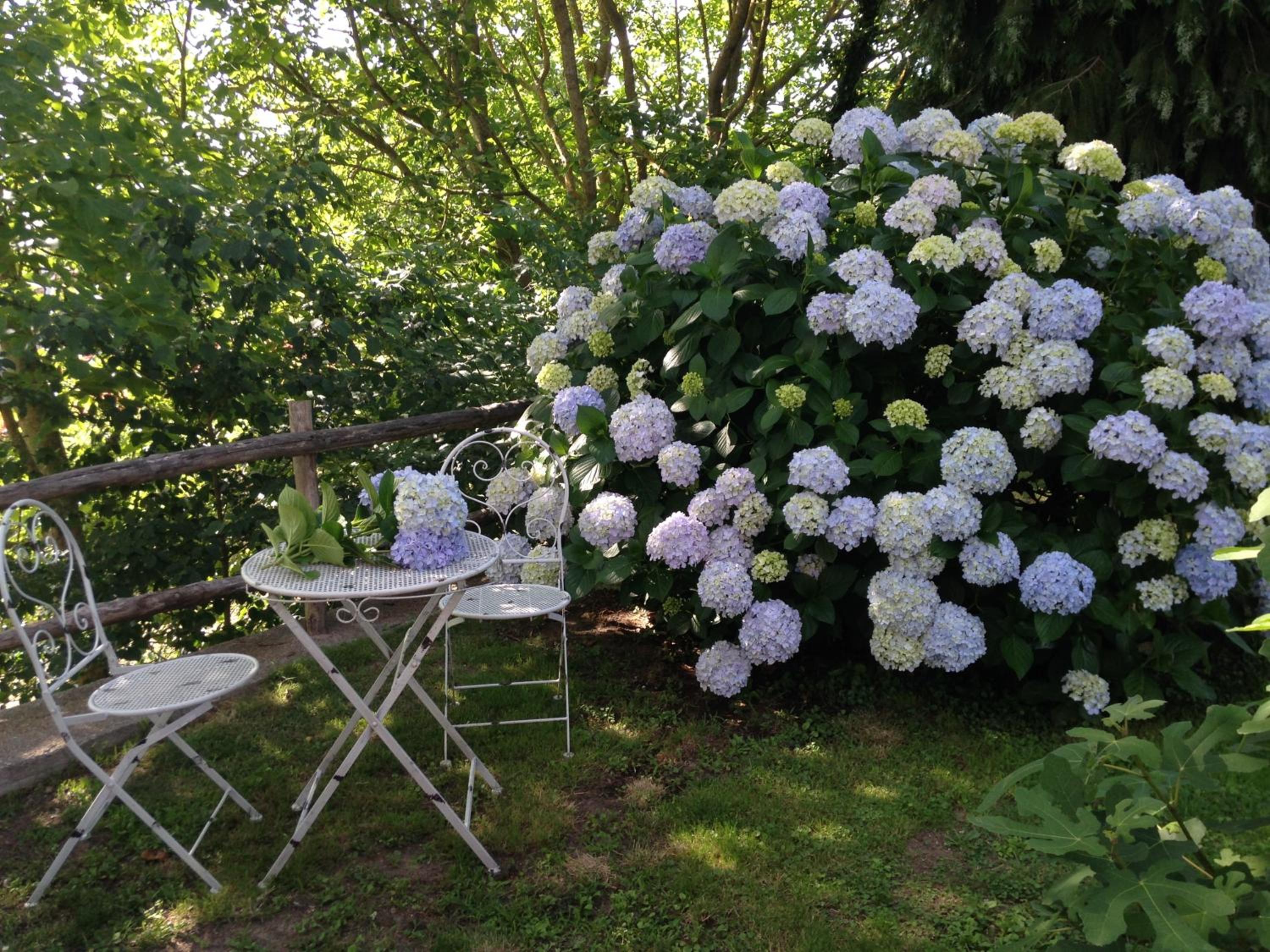 Agriturismo Renaccio