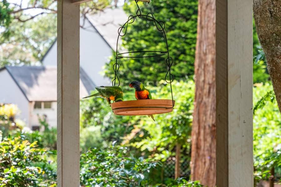 The Gamekeepers Spa Cottage in Tamborine Mountain