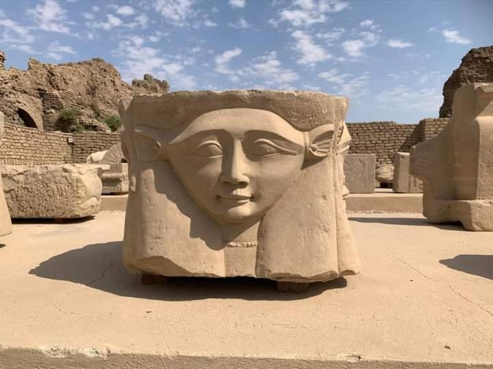 Rose travel_trips