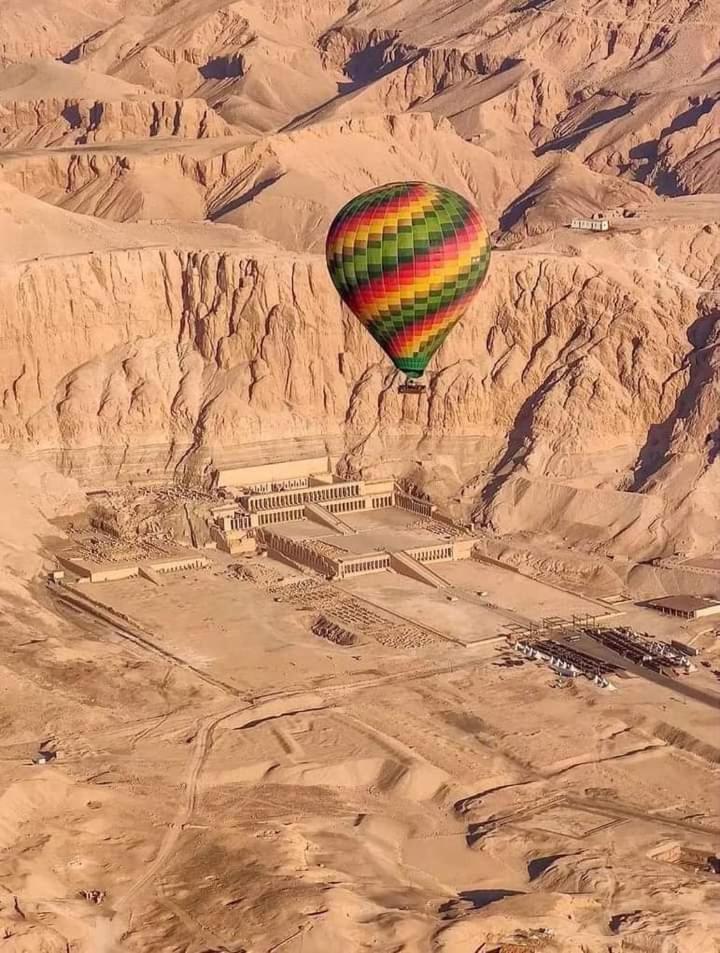 Rose travel_trips