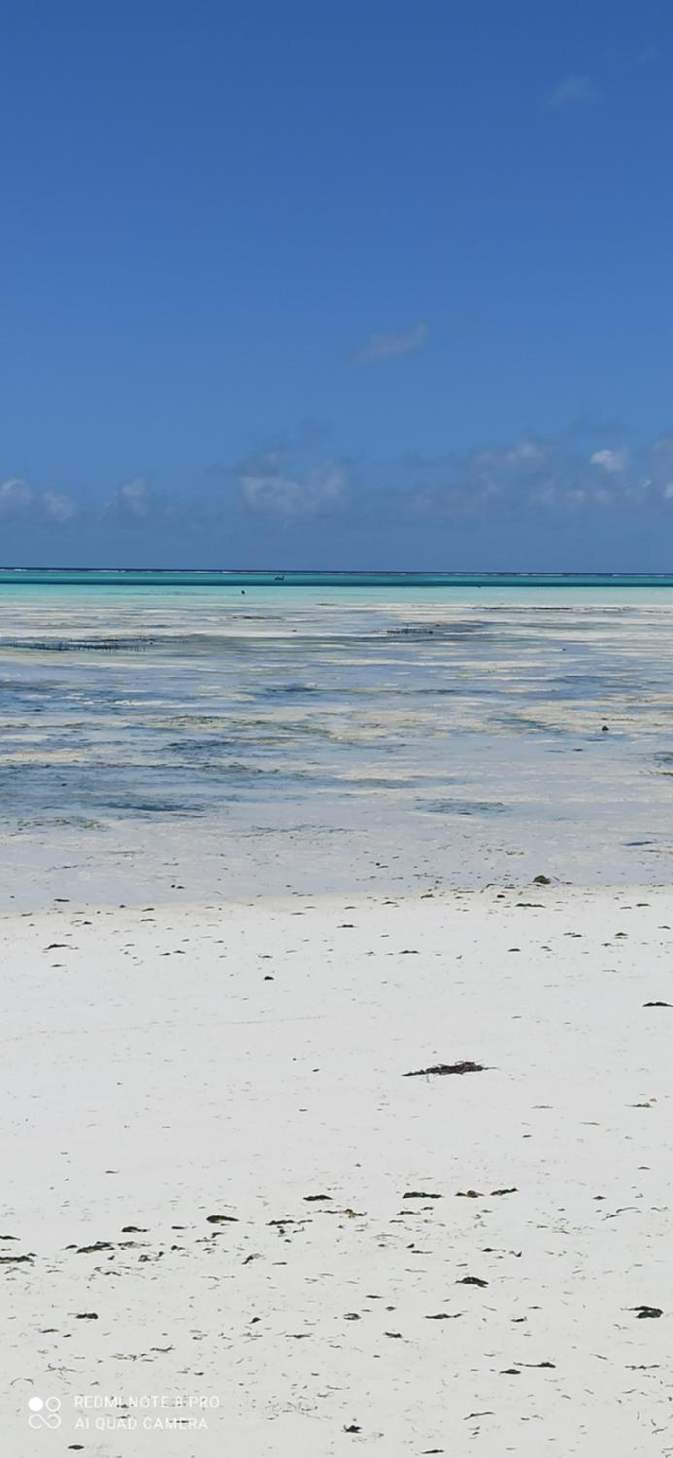 Art Hotel Zanzibar