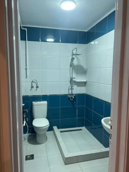 Luxurious apartment in the heart of Cairo, Dokki