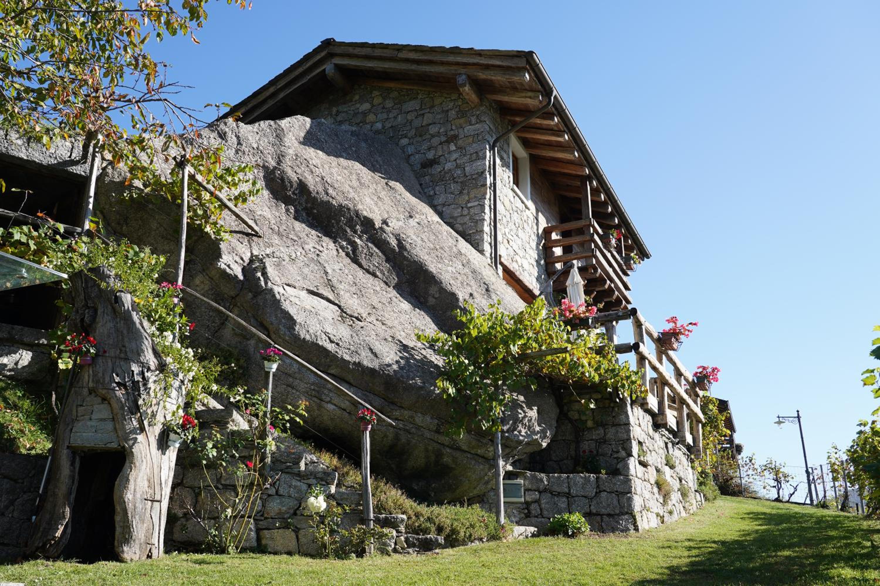 Photo 8
