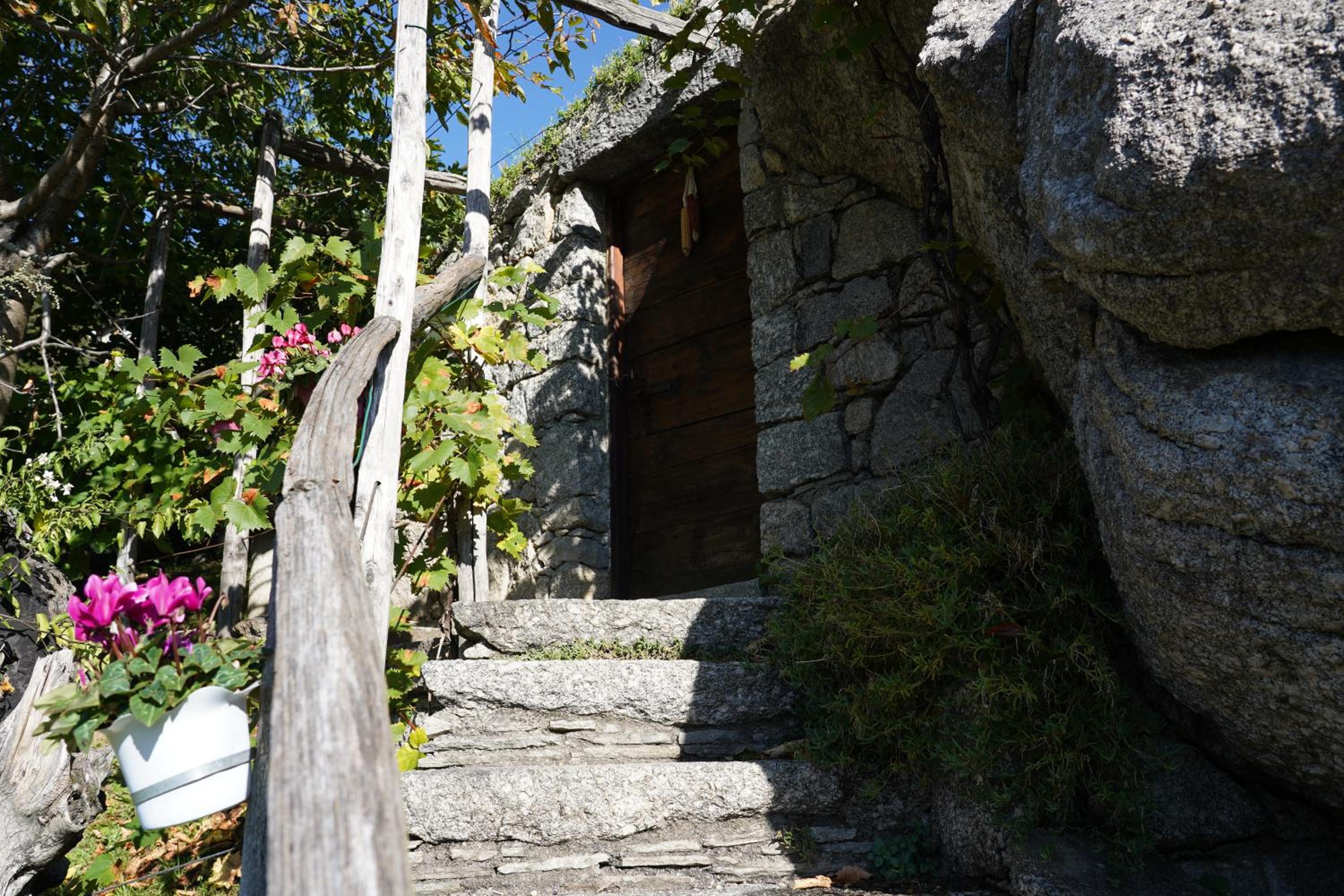 Photo 22
