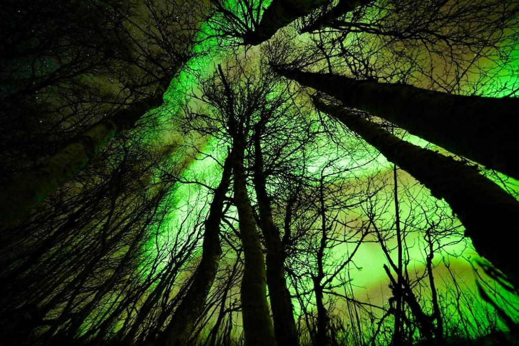 Northern lights room