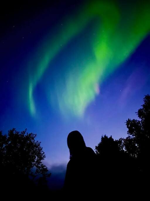 Northern lights room