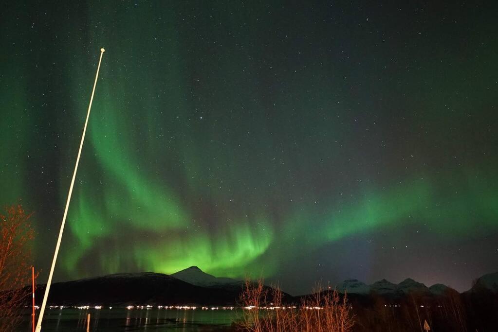 Northern lights room