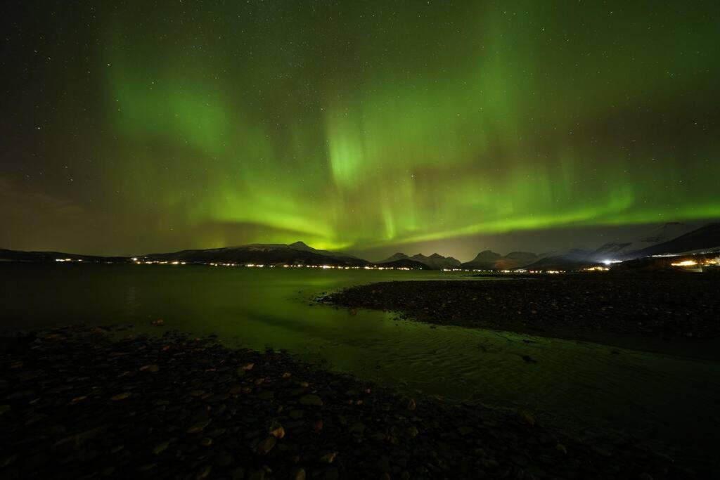 Northern lights room