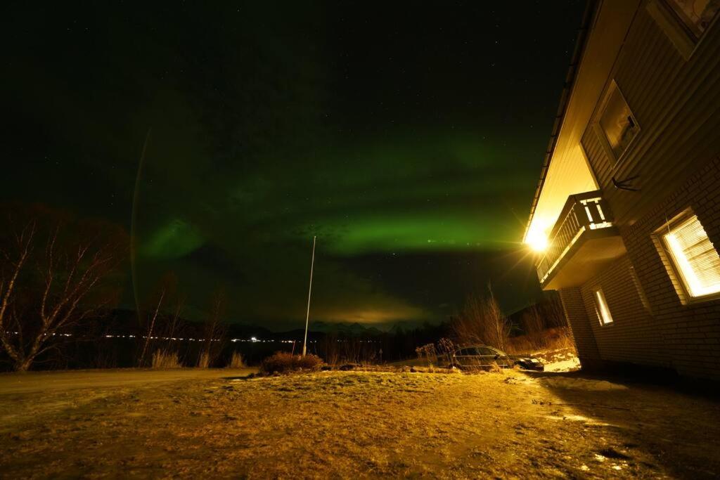 Northern lights room