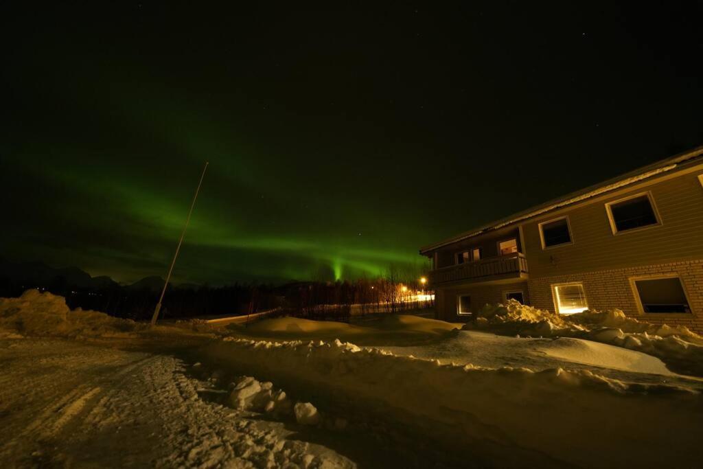 Northern lights room