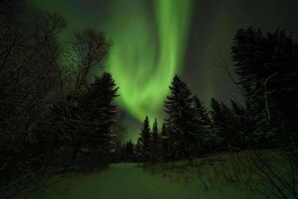 Northern lights room