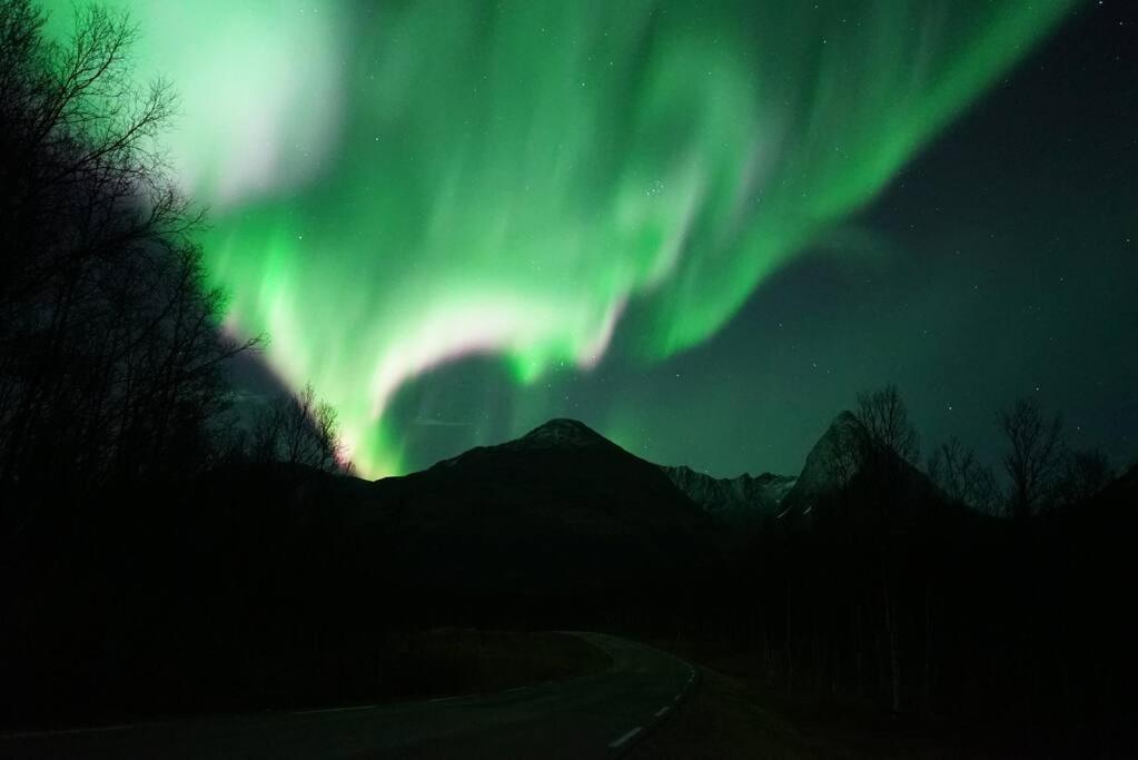 Northern lights room