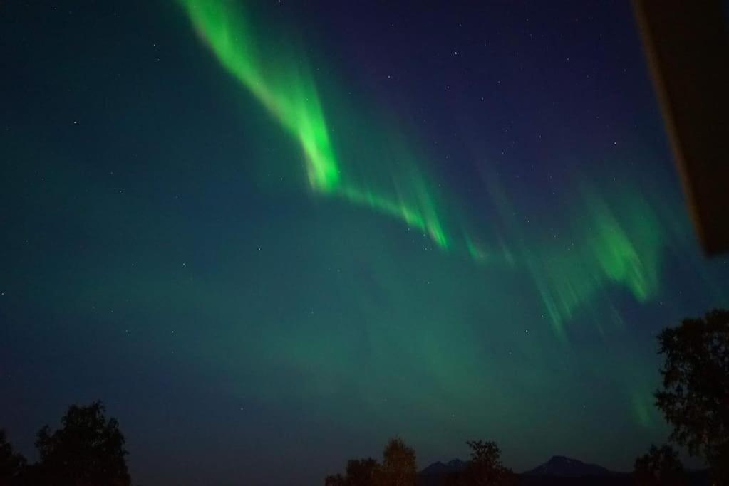 Northern lights room