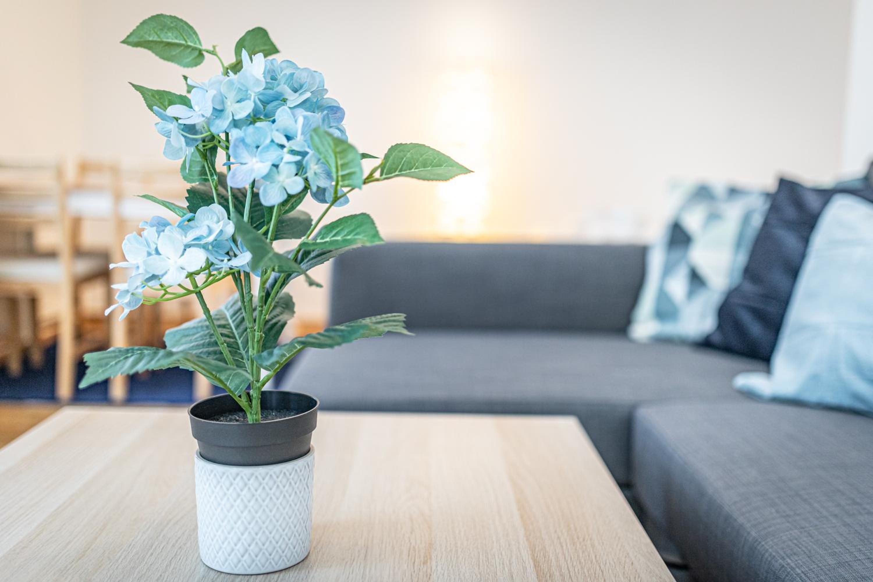 CALM & EASY by JR City Apartments